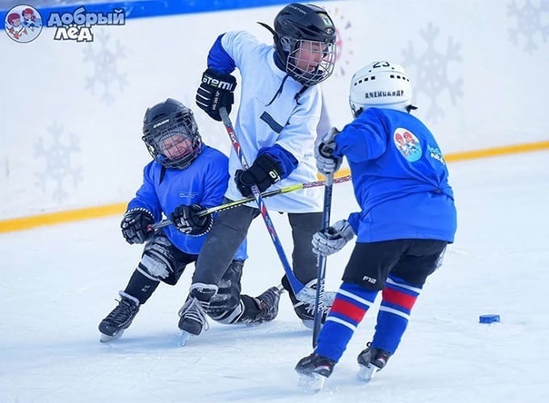 Алнаши в списке победителей конкурса проектов развития детского хоккея «Добрый лёд».